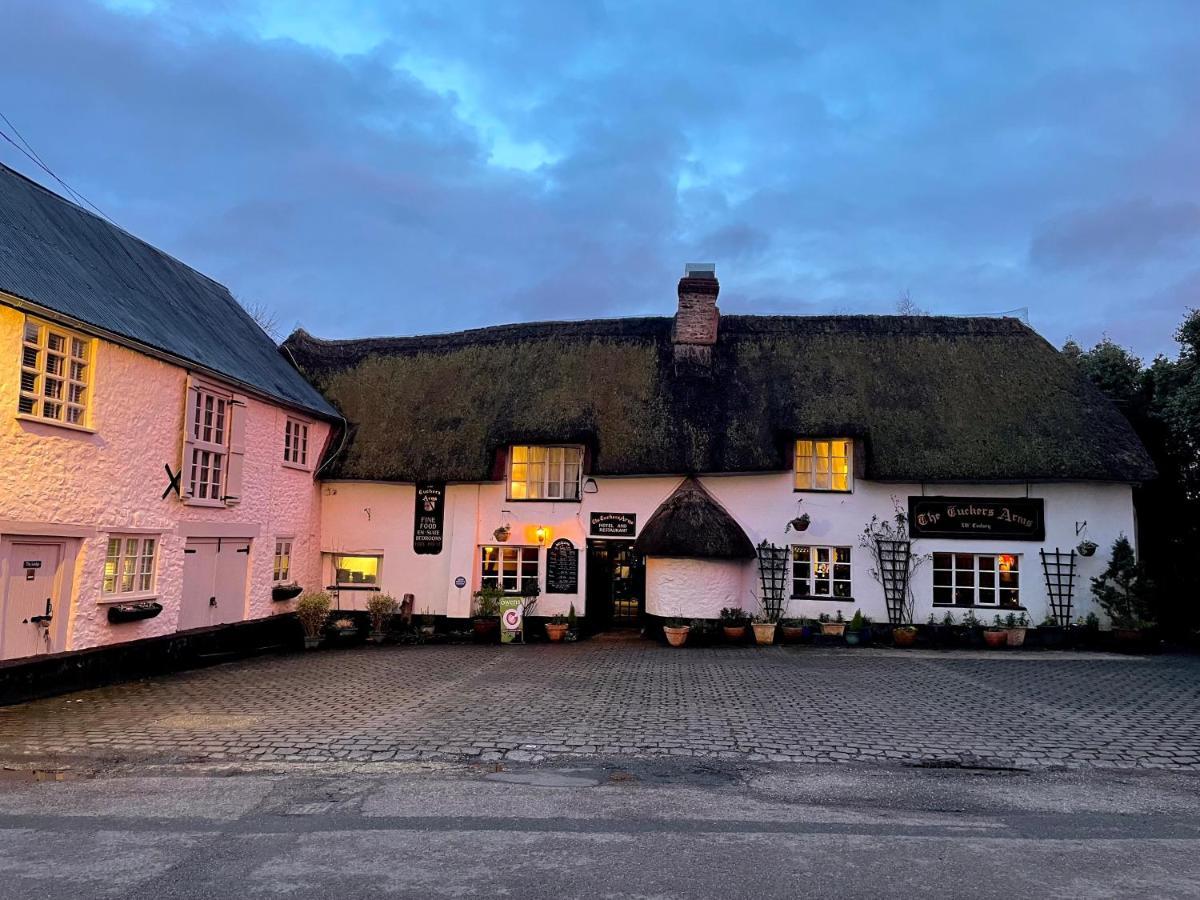 Bed and Breakfast The Tuckers Arms Axminster Exteriér fotografie
